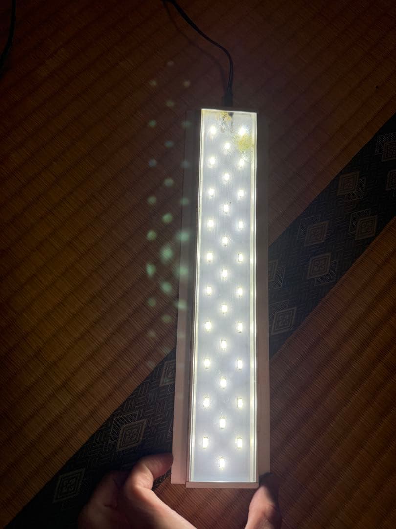 ADAキューブガーデン