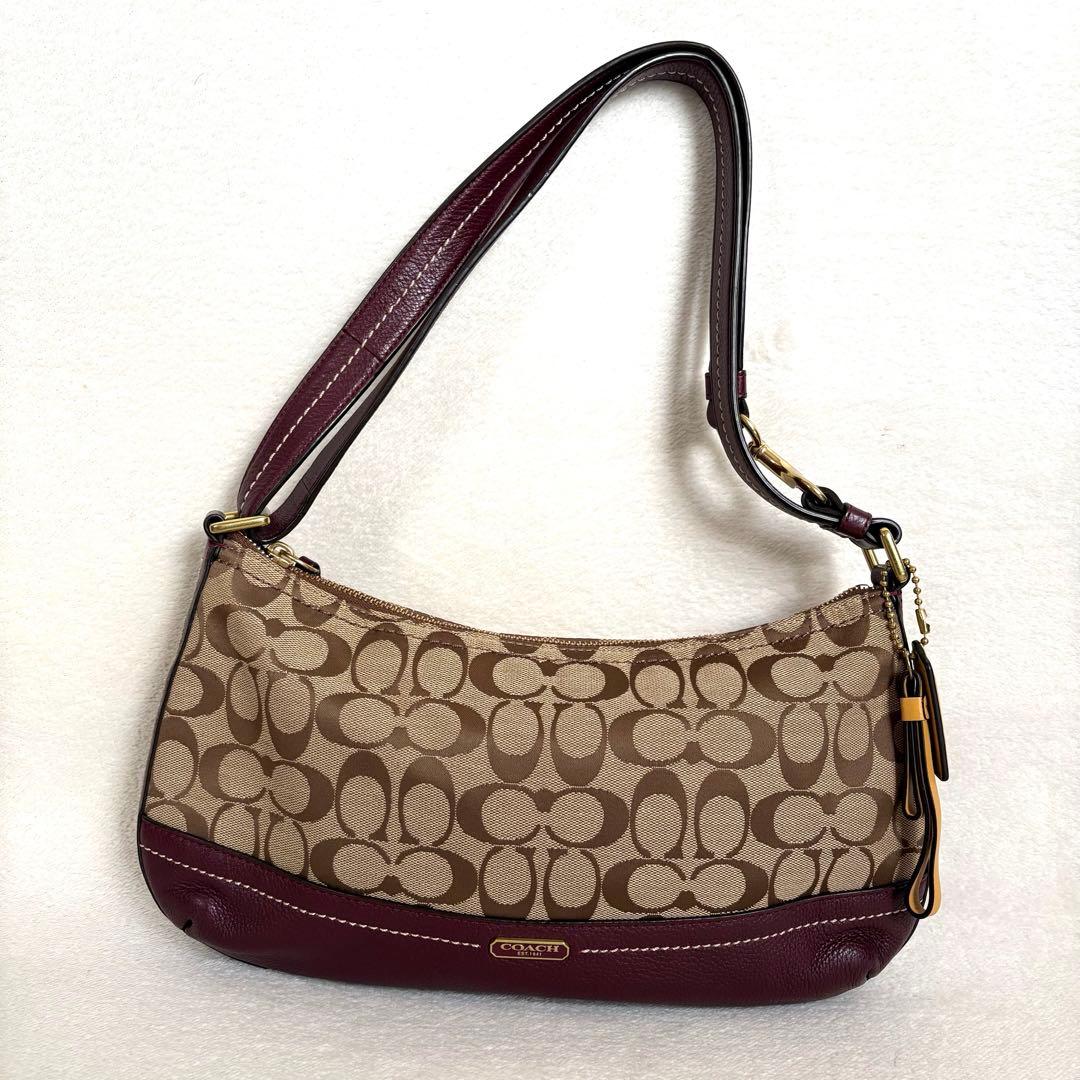 ⭐︎美品【COACH】ワンショルダーバッグ キャンバス レザー シグネチャー 総柄