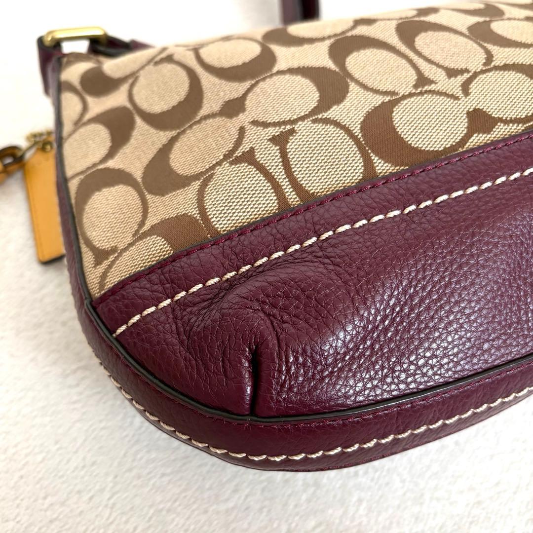 ⭐︎美品【COACH】ワンショルダーバッグ キャンバス レザー シグネチャー 総柄