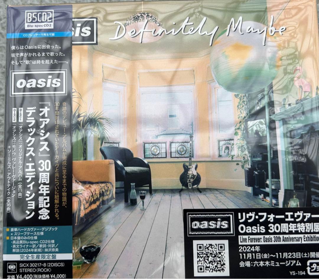 【まーちん】oasis シリアルナンバーメモリアルチケット　クリアファイル