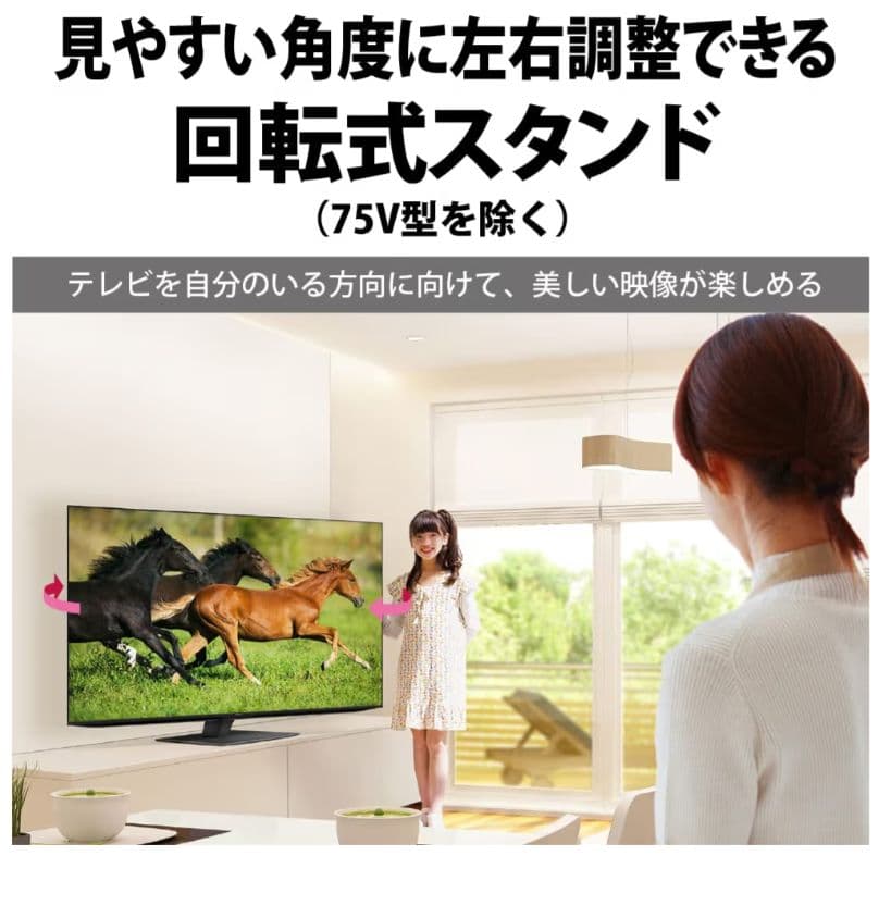 SHARP/シャープ 65V 4Kテレビ 4T-C65EL1 2022年製