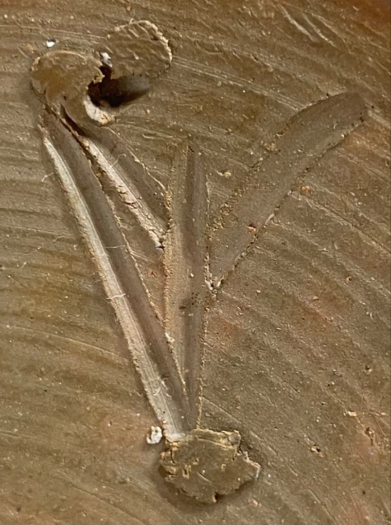 人間国宝　藤原雄　備前花入　耳付花入　備前焼　共箱(四方桟盛蓋) 栞　C 313