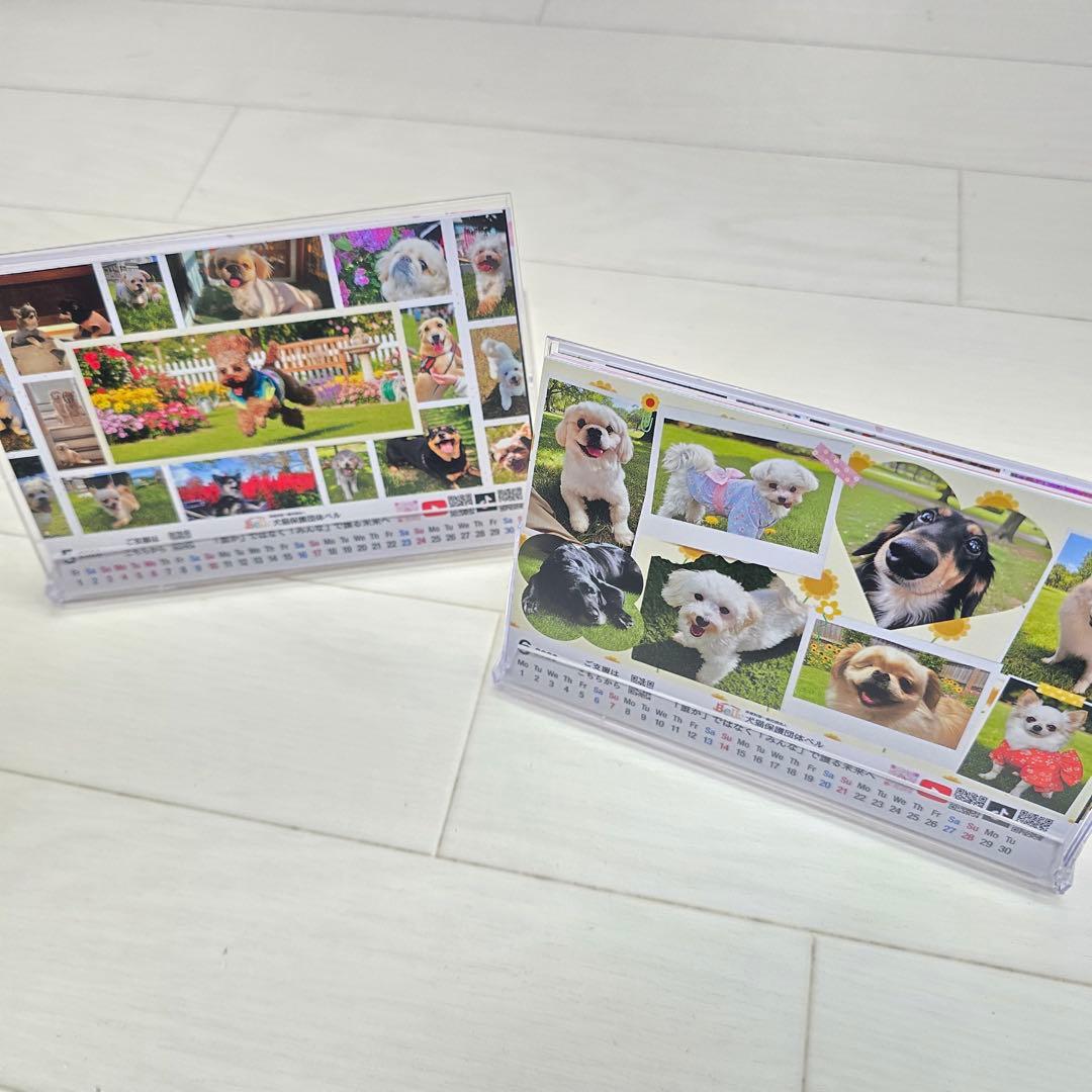 ②『犬』 卓上チャリティーカレンダー10枚セット