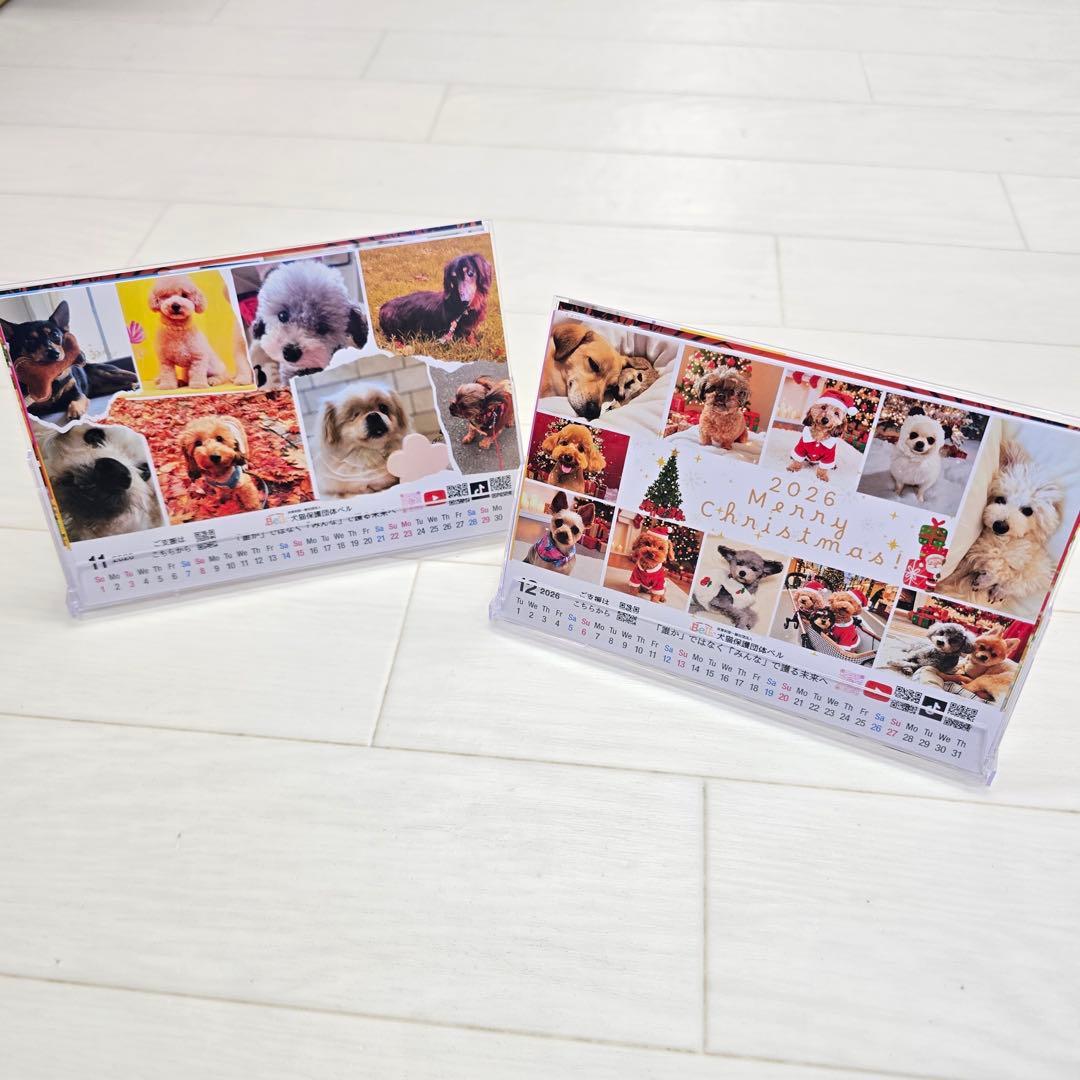 ②『犬』 卓上チャリティーカレンダー10枚セット