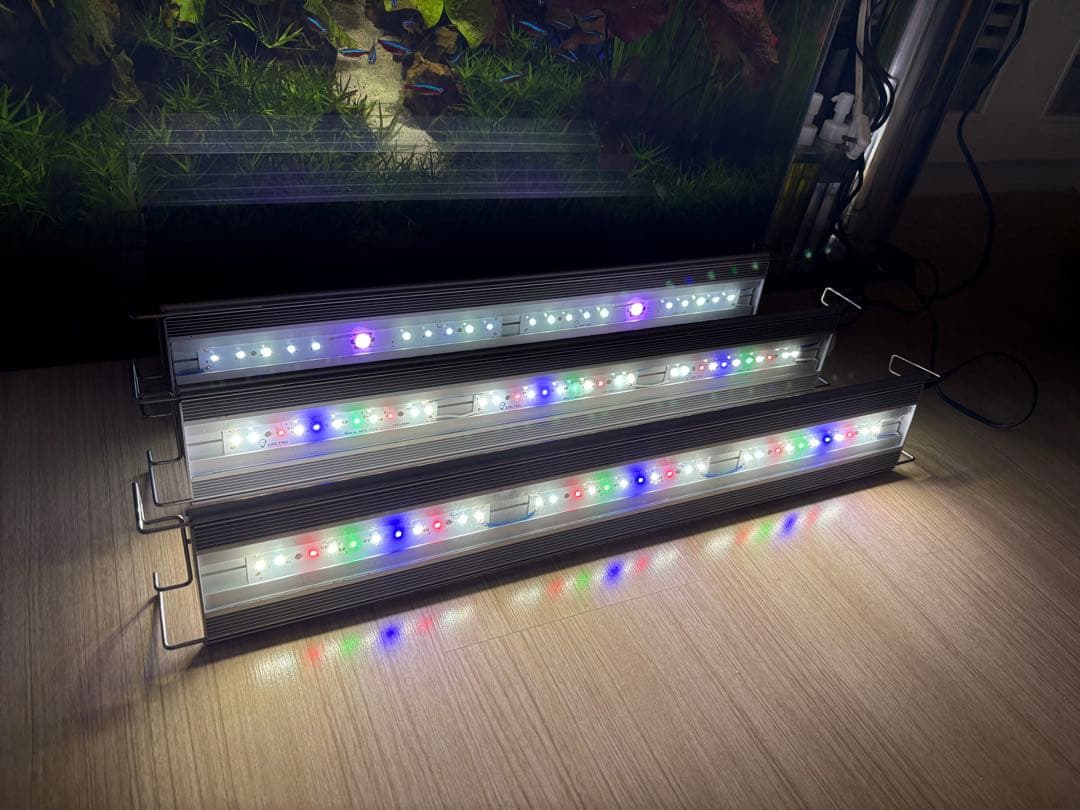 アクロトライアングル 3本セットGrow×2 Terrarium セット