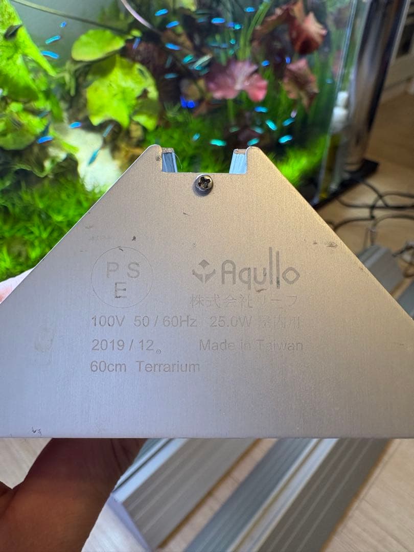 アクロトライアングル 3本セットGrow×2 Terrarium セット