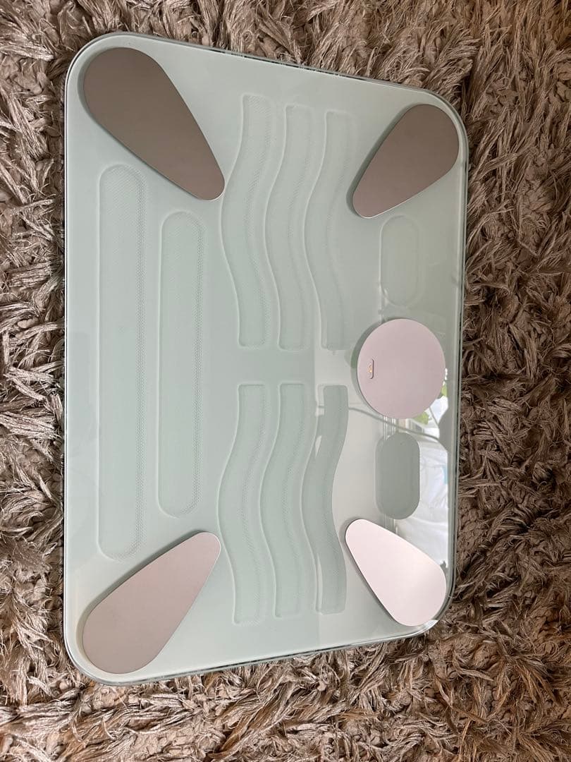 issin イッシン　スマートバスマット　体組成計モデル　2025年購入