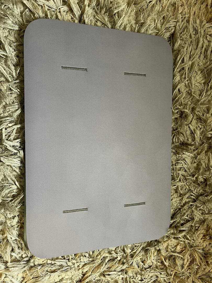 issin イッシン　スマートバスマット　体組成計モデル　2025年購入