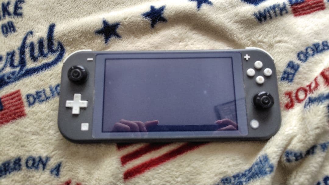 Nintendo Switch Lite グレー 本体【ジャンク品】