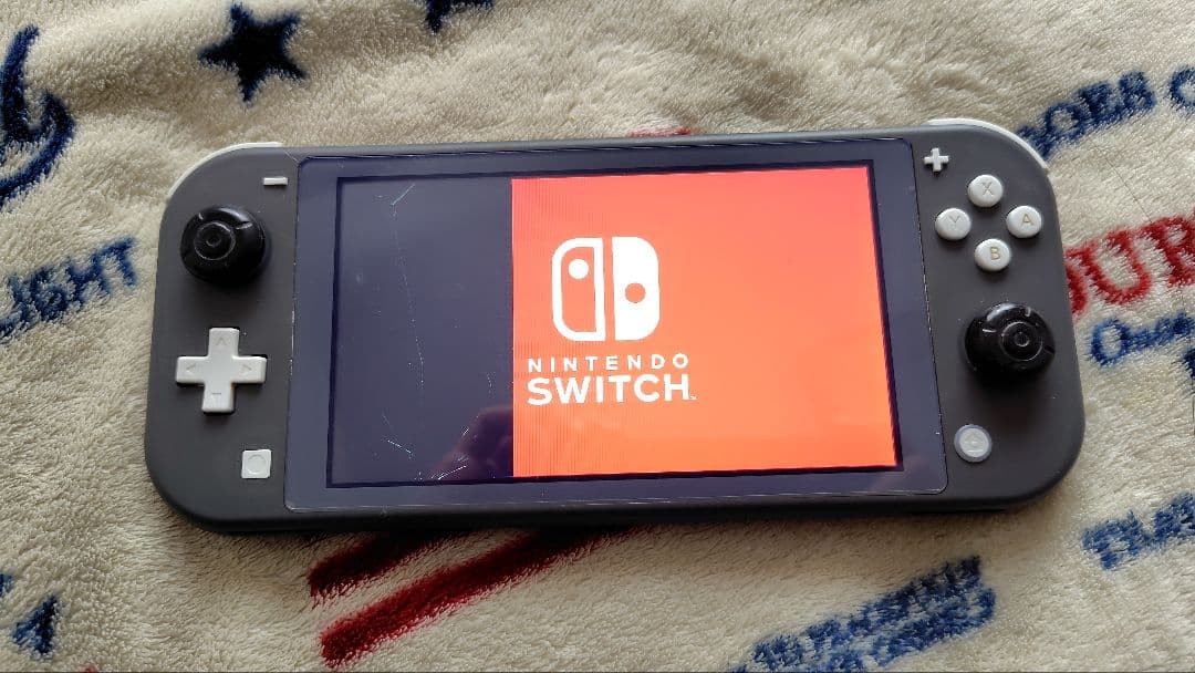 Nintendo Switch Lite グレー 本体【ジャンク品】