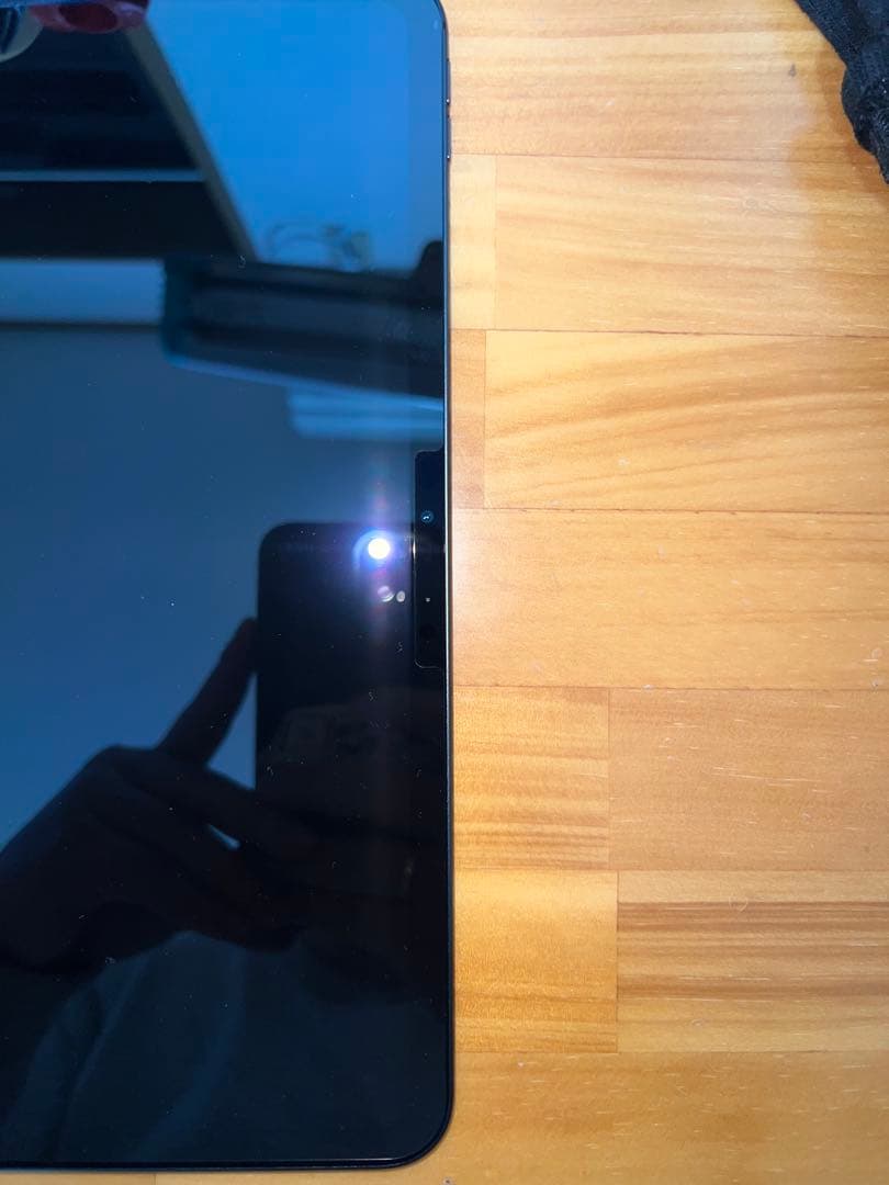 iPad Pro 11インチ 256GB Wifiモデル 正規品