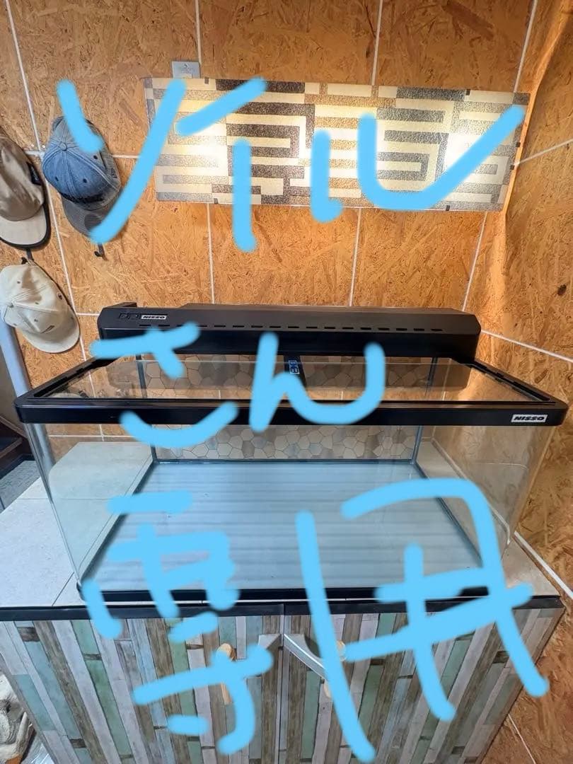 ニッソーnisso曲げガラス90cm水槽 手渡し希望です