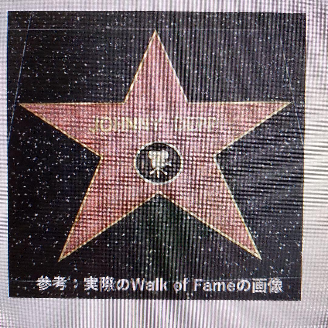 【唯一無二】ジョニー・デップ　ウォーク・オブ・フェイムアート作品