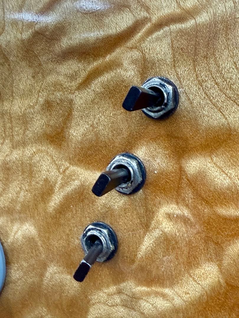 【希少】ALEMBIC DISTILLATE 2PU BASS 1983