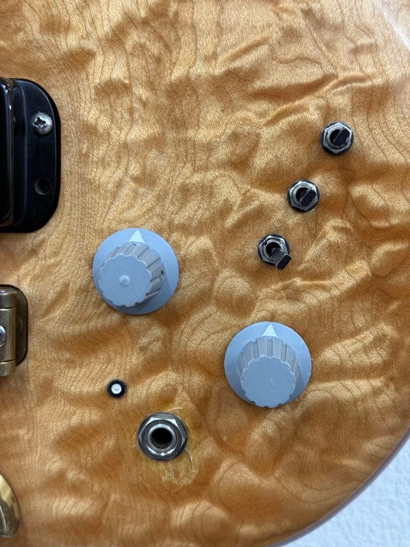 【希少】ALEMBIC DISTILLATE 2PU BASS 1983