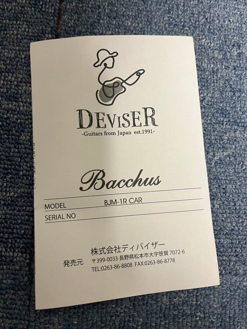 バッカスジャズマスターP90ギター