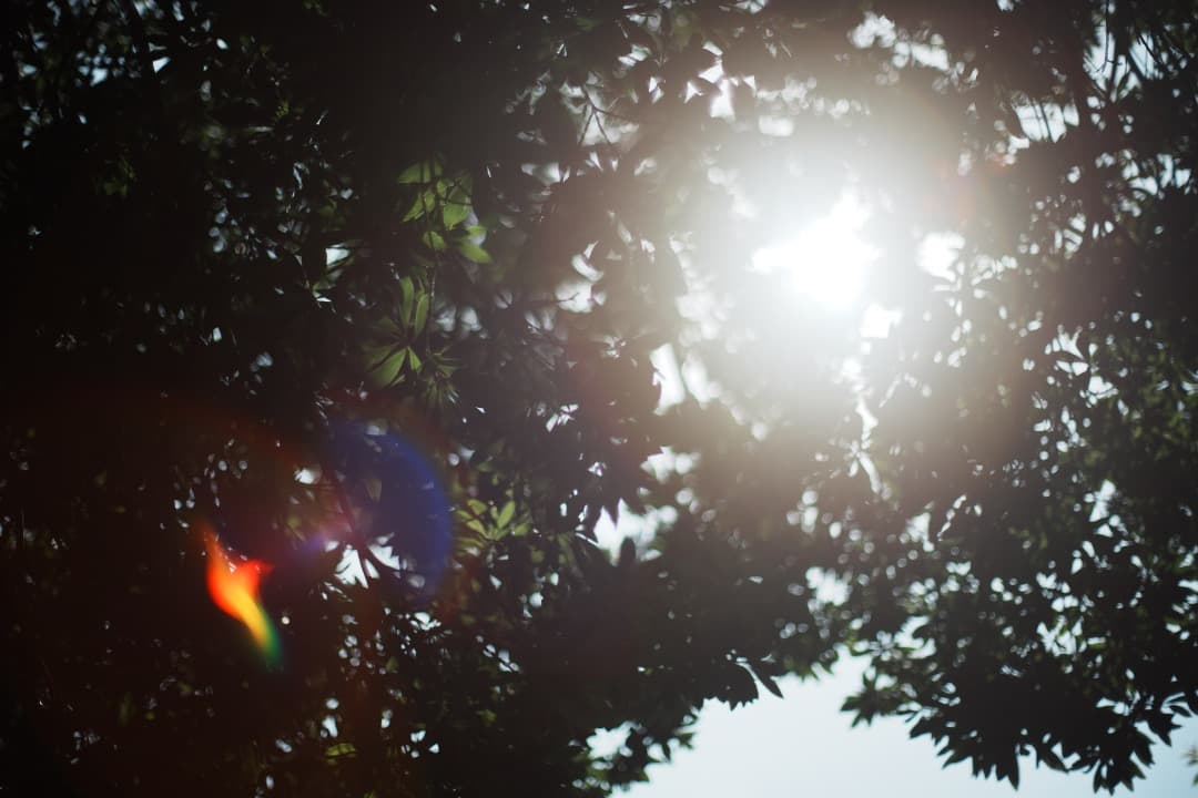 【美品】動作◎ オリンパス G.Zuiko auto 50mm F1.4 980