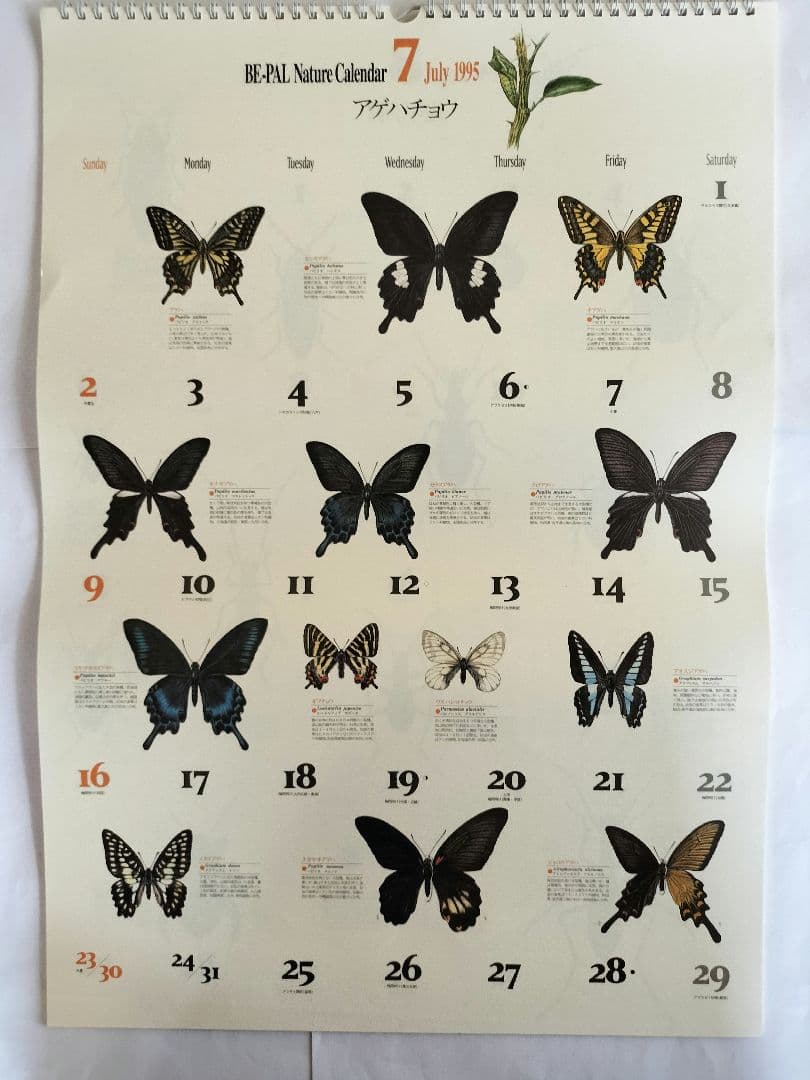 BE-PAL ビーパル カレンダー 新品未使用 1995年　ヴィンテージ