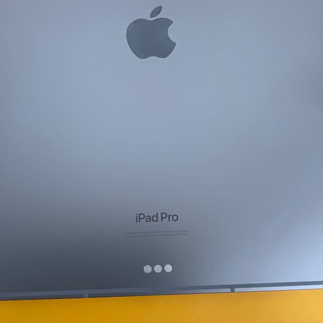 極美品 iPadPro12.9インチ第6世代 Cellular 256GB M2
