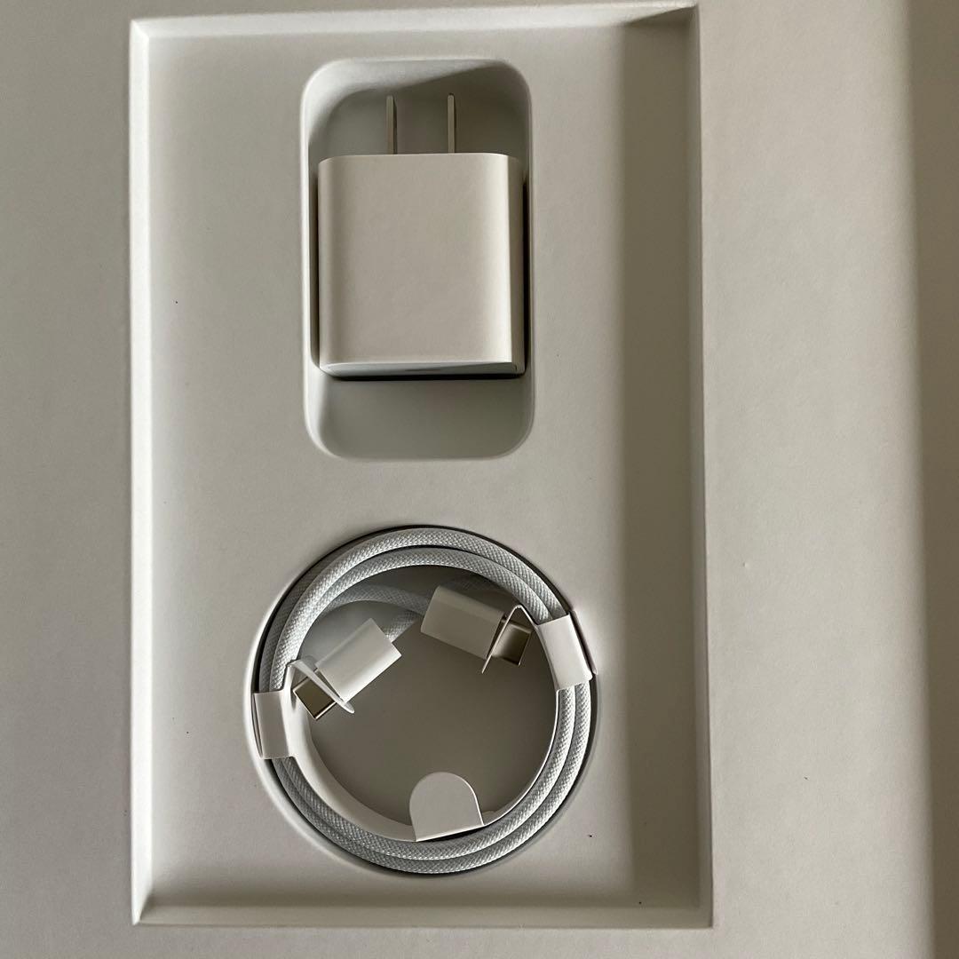 極美品 iPadPro12.9インチ第6世代 Cellular 256GB M2