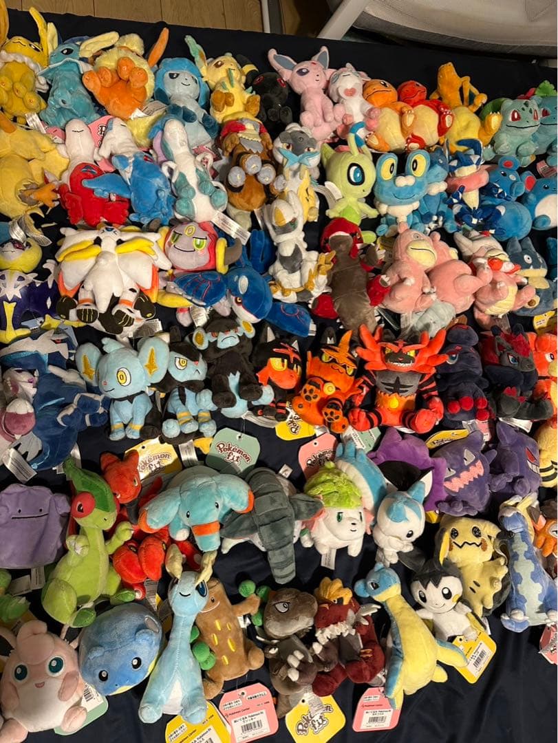 【タグ付き】ポケモンfit 129個セット