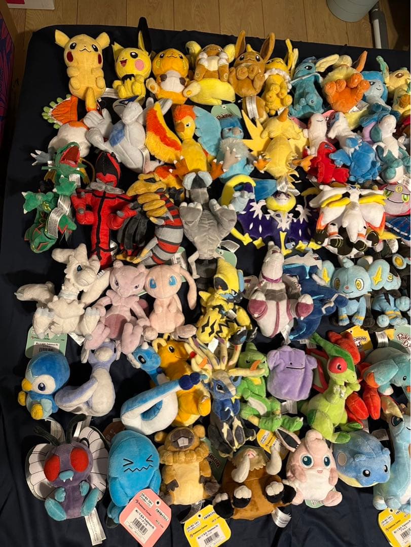 【タグ付き】ポケモンfit 129個セット