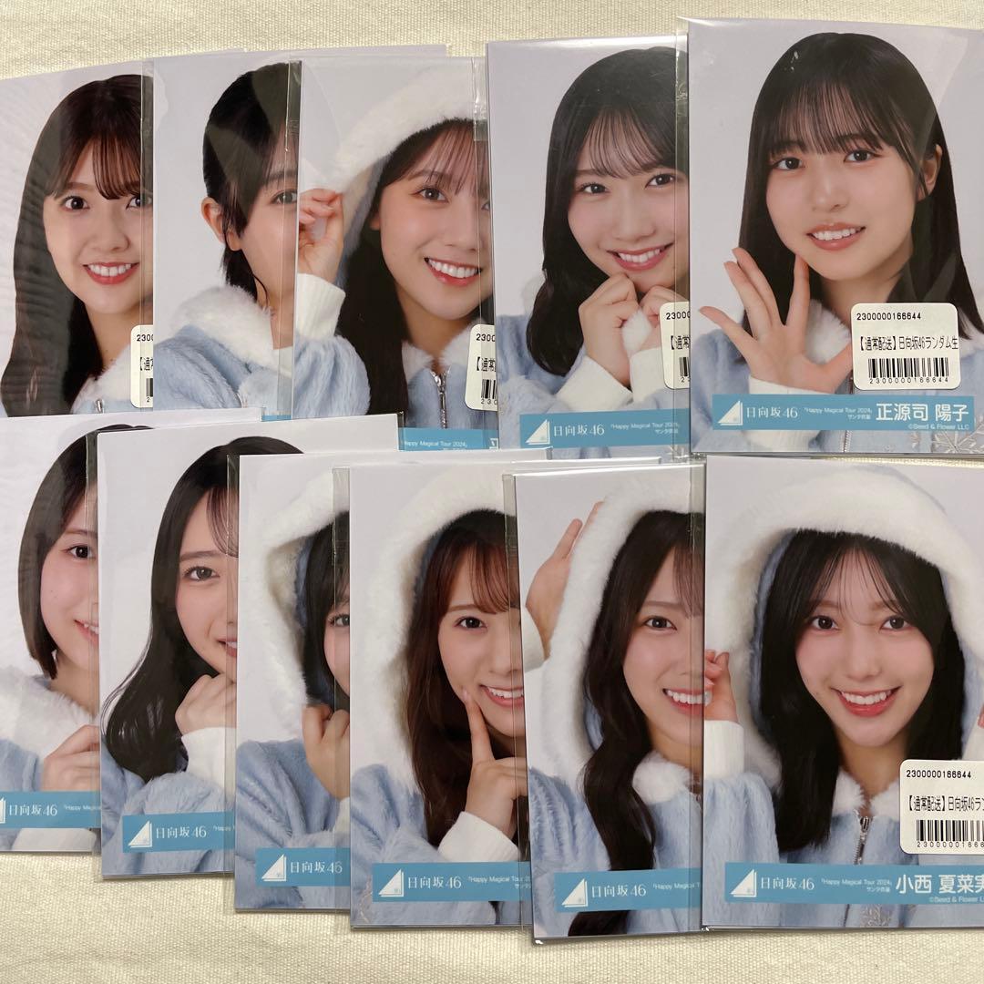日向坂46生写真 2025クリスマスサンタ衣装（全メンバーまとめ売り）