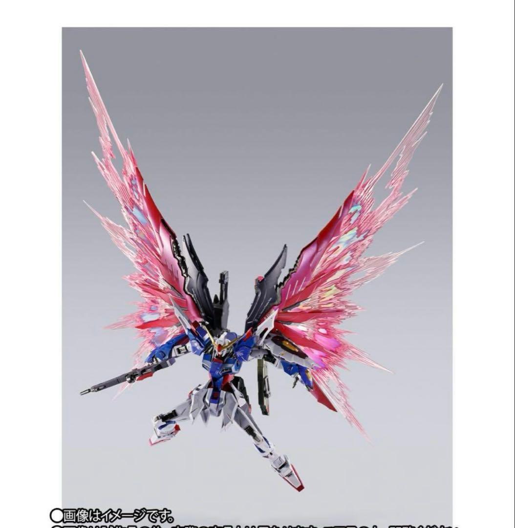 メタルビルド デスティニーガンダム（フルパッケージ）FESTIVAL 2024