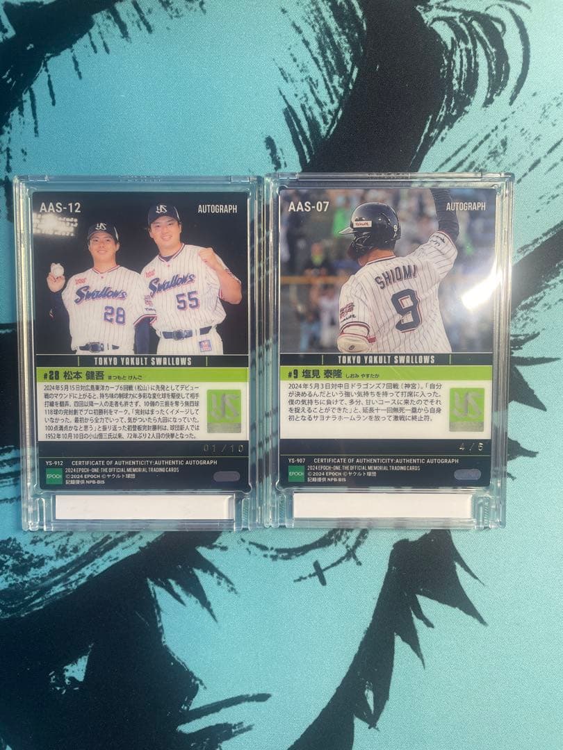 ≪東京ヤクルトスワローズ≫　シグネチャーセット2024