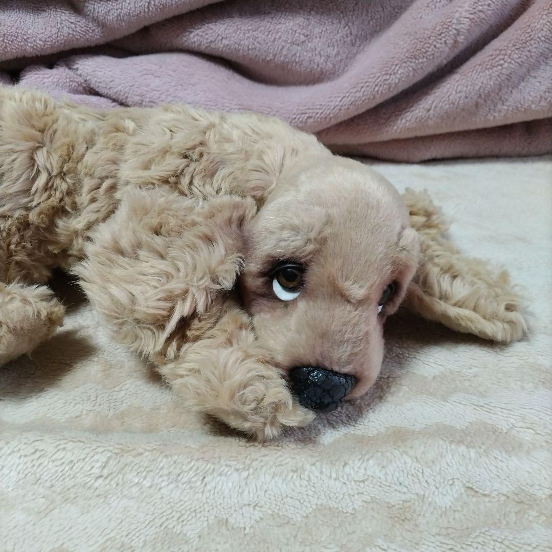 Piutre イタリア製高級犬ぬいぐるみ