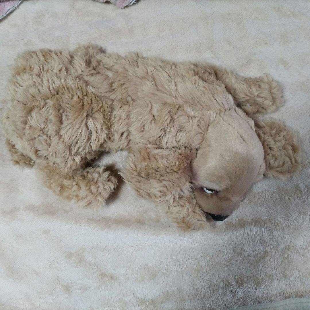 Piutre イタリア製高級犬ぬいぐるみ