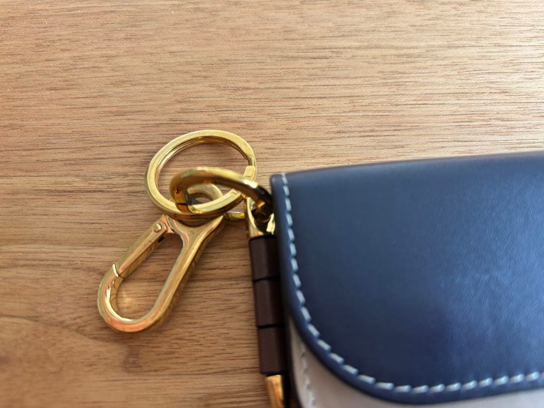 ロエベ　ゲートミニウォレット　ケース