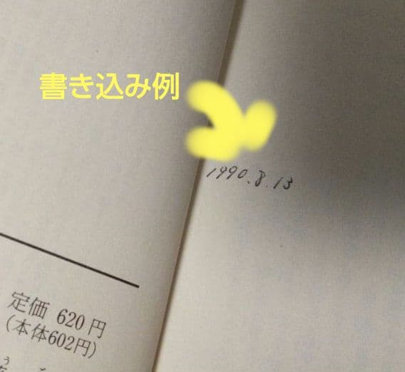 南総里見八犬伝。岩波文庫。全10巻揃。初版（1990年第1刷）。栞、発行パンフ付