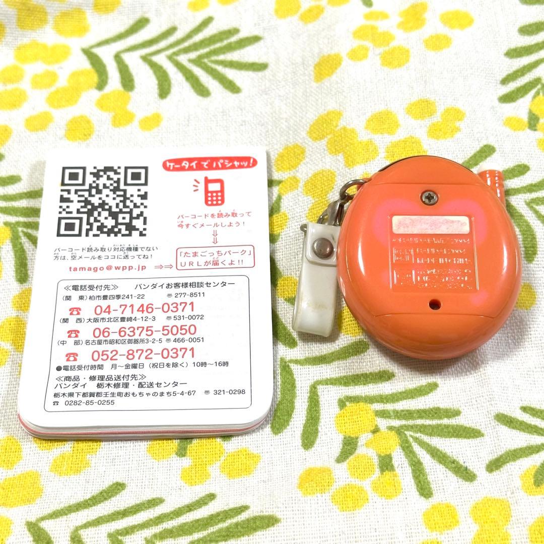 祝ケータイかいツー！たまごっちプラス 赤い実　赤たま　ケーたま