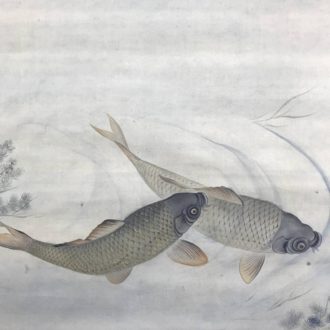 【真作】田能村直雙/鯉図/遊鯉図/コイ図/双鯉図/掛軸/名家伝来/AD-270