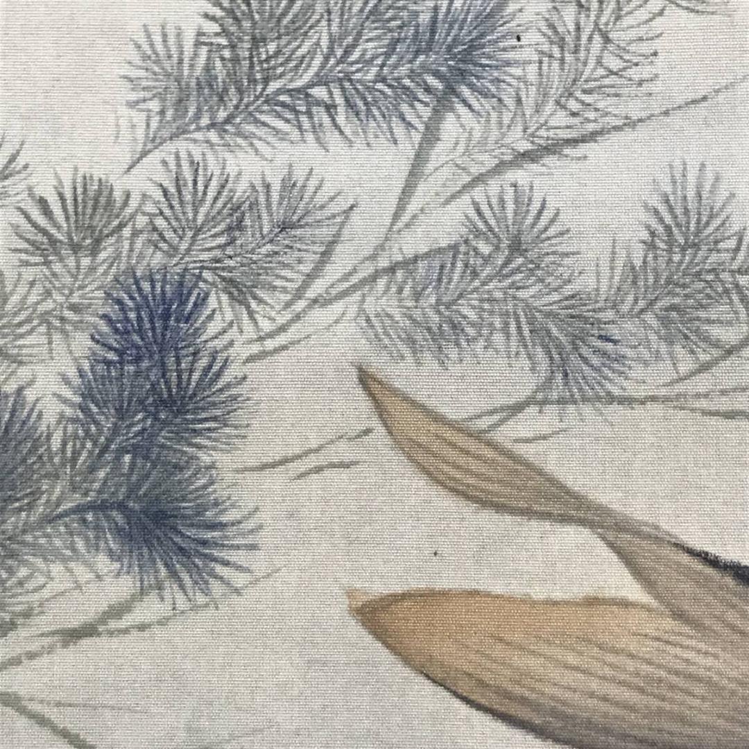 【真作】田能村直雙/鯉図/遊鯉図/コイ図/双鯉図/掛軸/名家伝来/AD-270