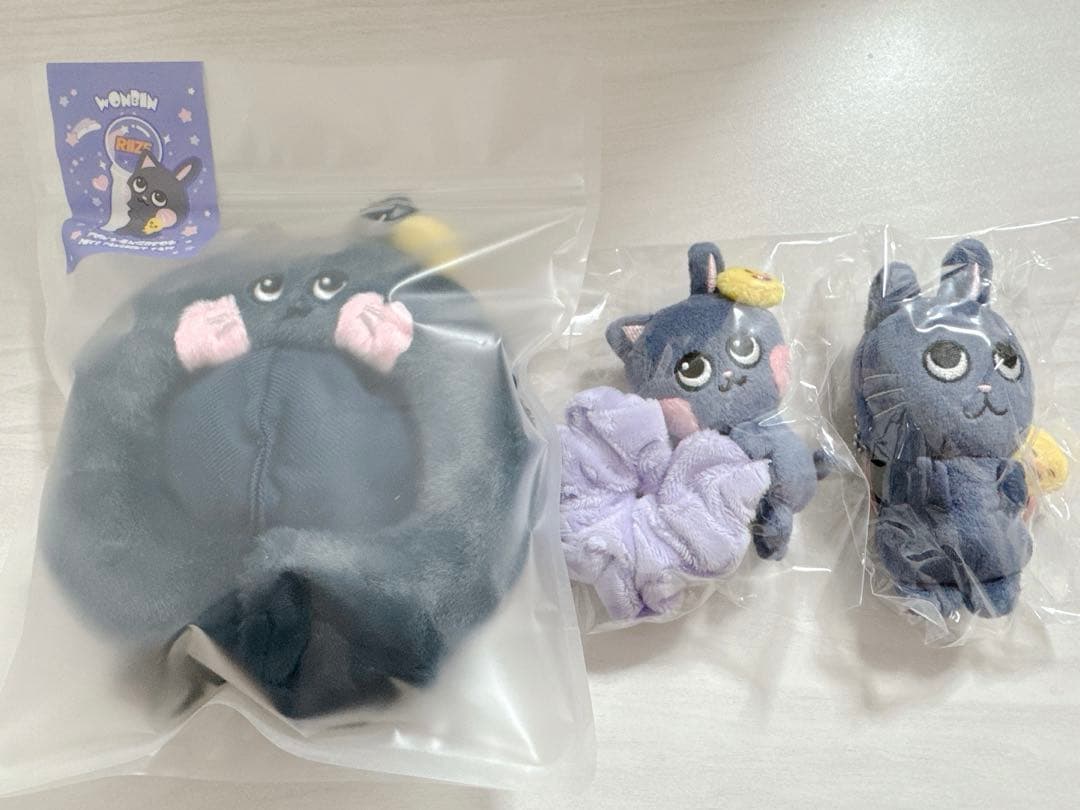 RIIZE ウォンビン　トニャンドク　ペンラカバー　シュシュ　キーリング　セット