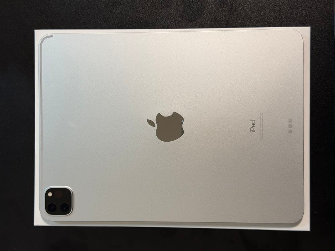 iPad Pro 11 シルバー 第二世代 128GB