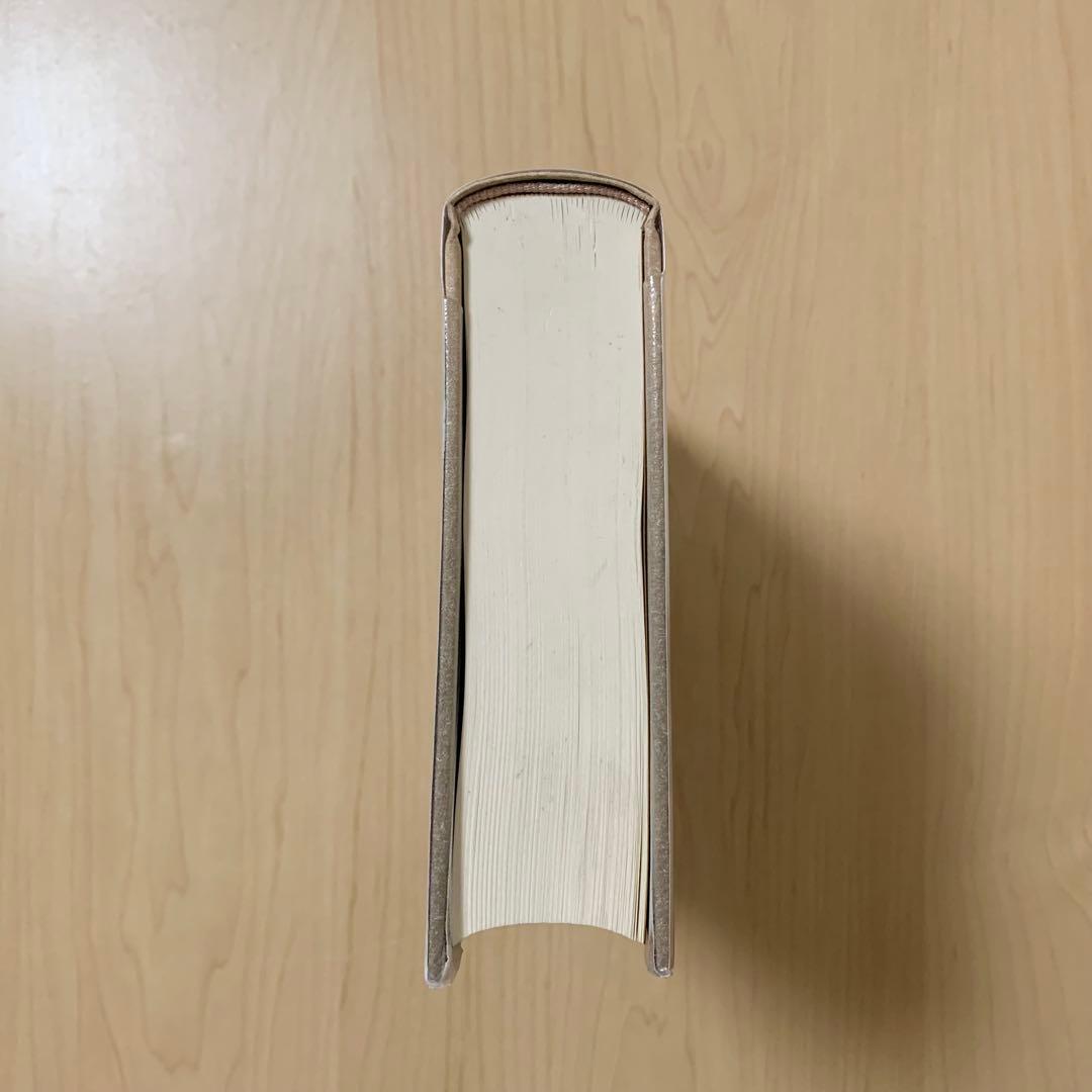 【除籍本】月神降臨／マーゴット・アドラー 国書刊行会 ペイガニズム 品切れ