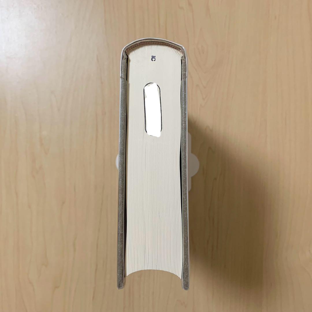 【除籍本】月神降臨／マーゴット・アドラー 国書刊行会 ペイガニズム 品切れ