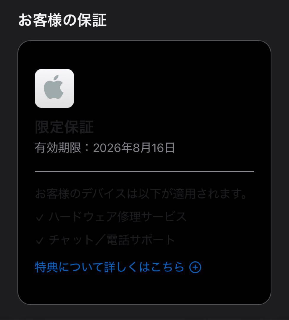 iPad Air13インチ(M3)256Wi-Fiパープル+pencil Pro