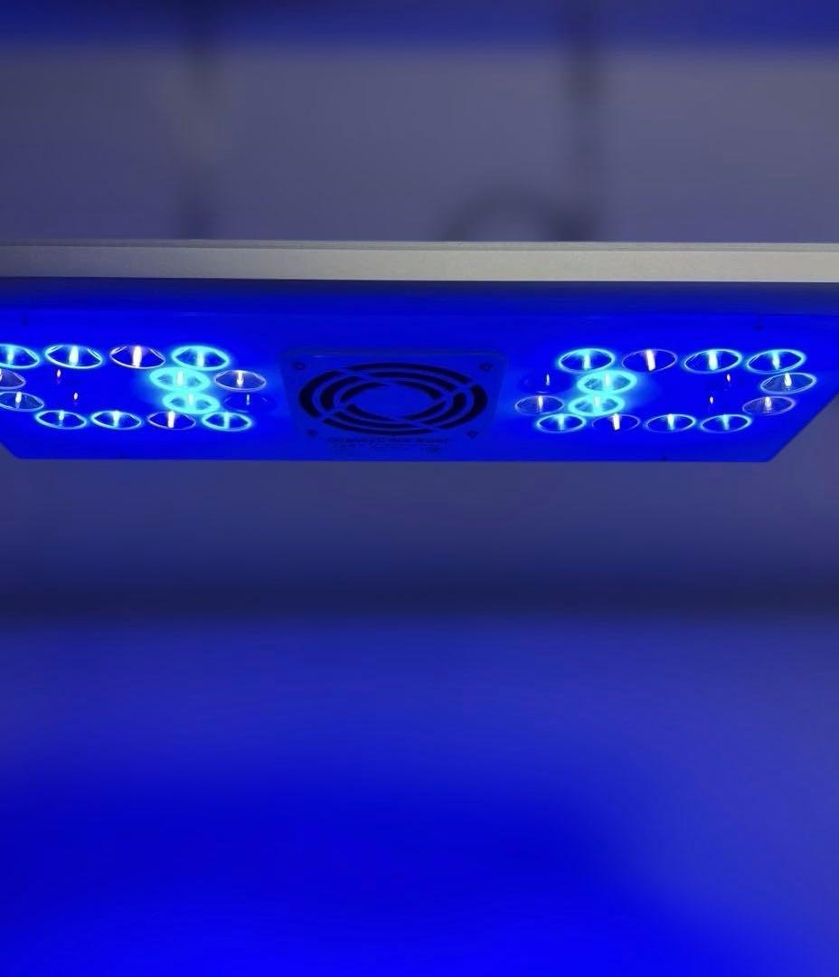 ボルクスジャパン　グラッシーコアリーフ