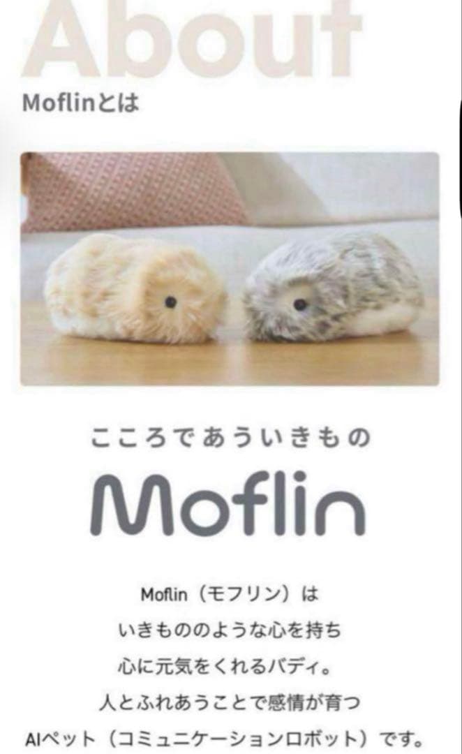 最安値　moflin モフリン　ゴールド　新品未開封品　即日発送
