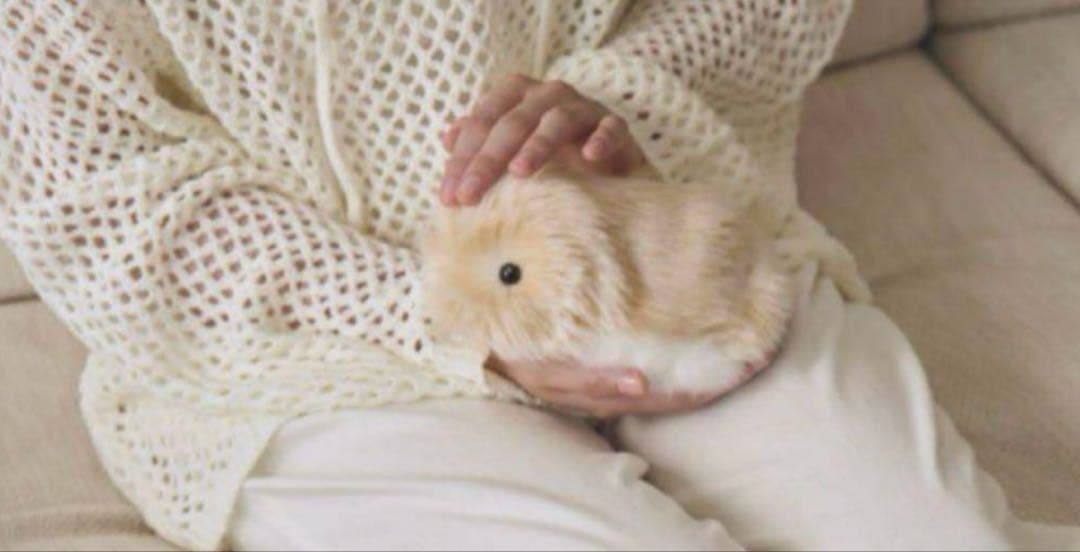 最安値　moflin モフリン　ゴールド　新品未開封品　即日発送