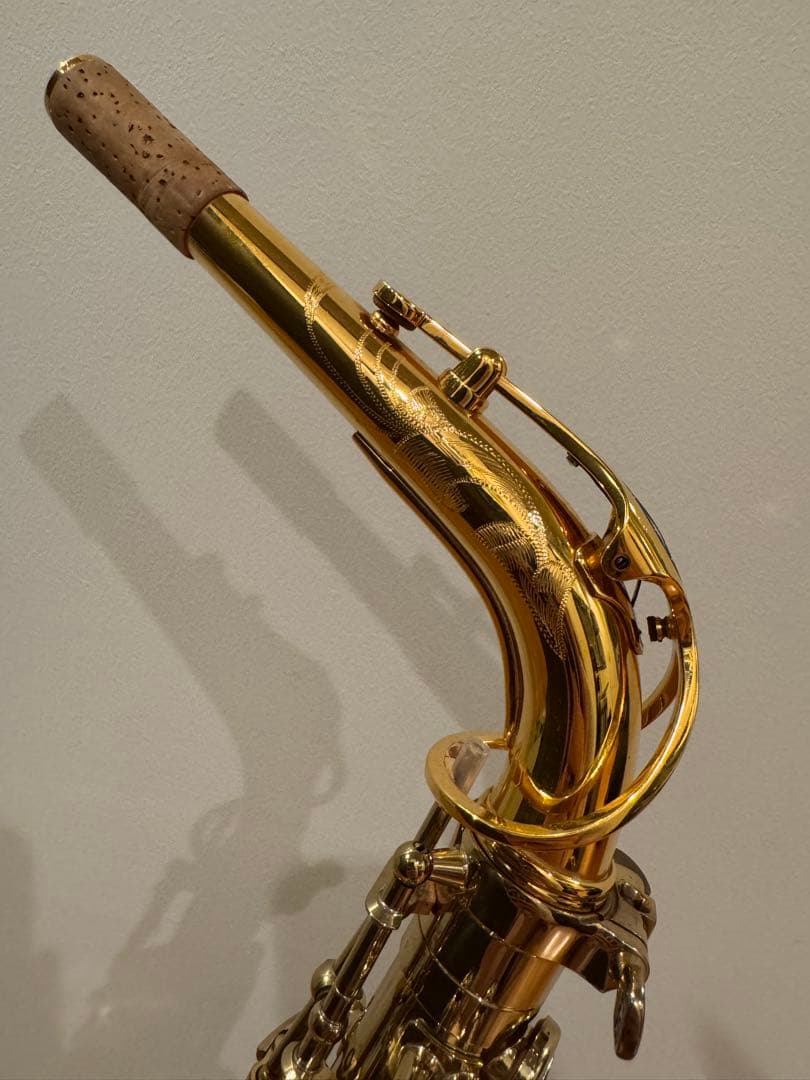 管楽器・吹奏楽器 Alto Saxophone H.SELMER SERIEIII GPT