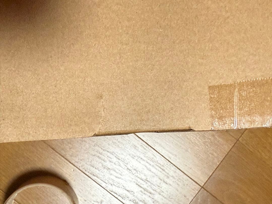 東宝大怪獣シリーズ　ゴジラ（1974） 少年リック限定版　エクスプラス