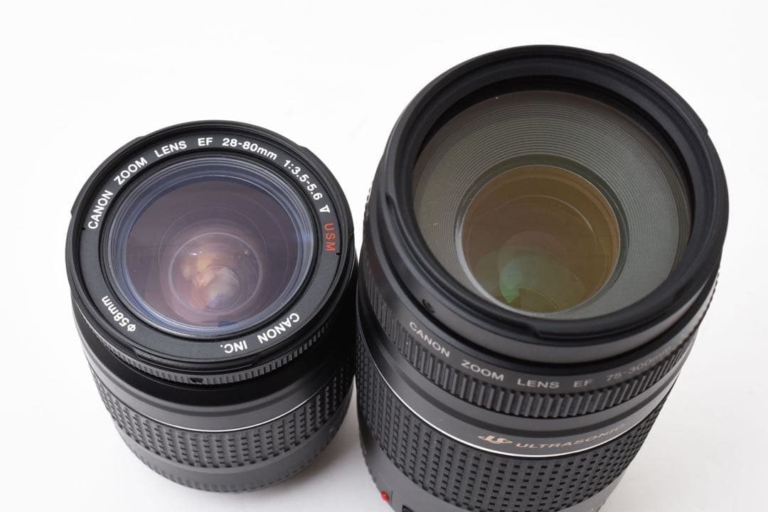 フルサイズCanon EOS 5D MarkIII標準&望遠ダブルレンズセット