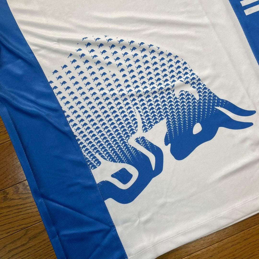 HUGO 2025 レーシングブルズ　VCARB チームTシャツL