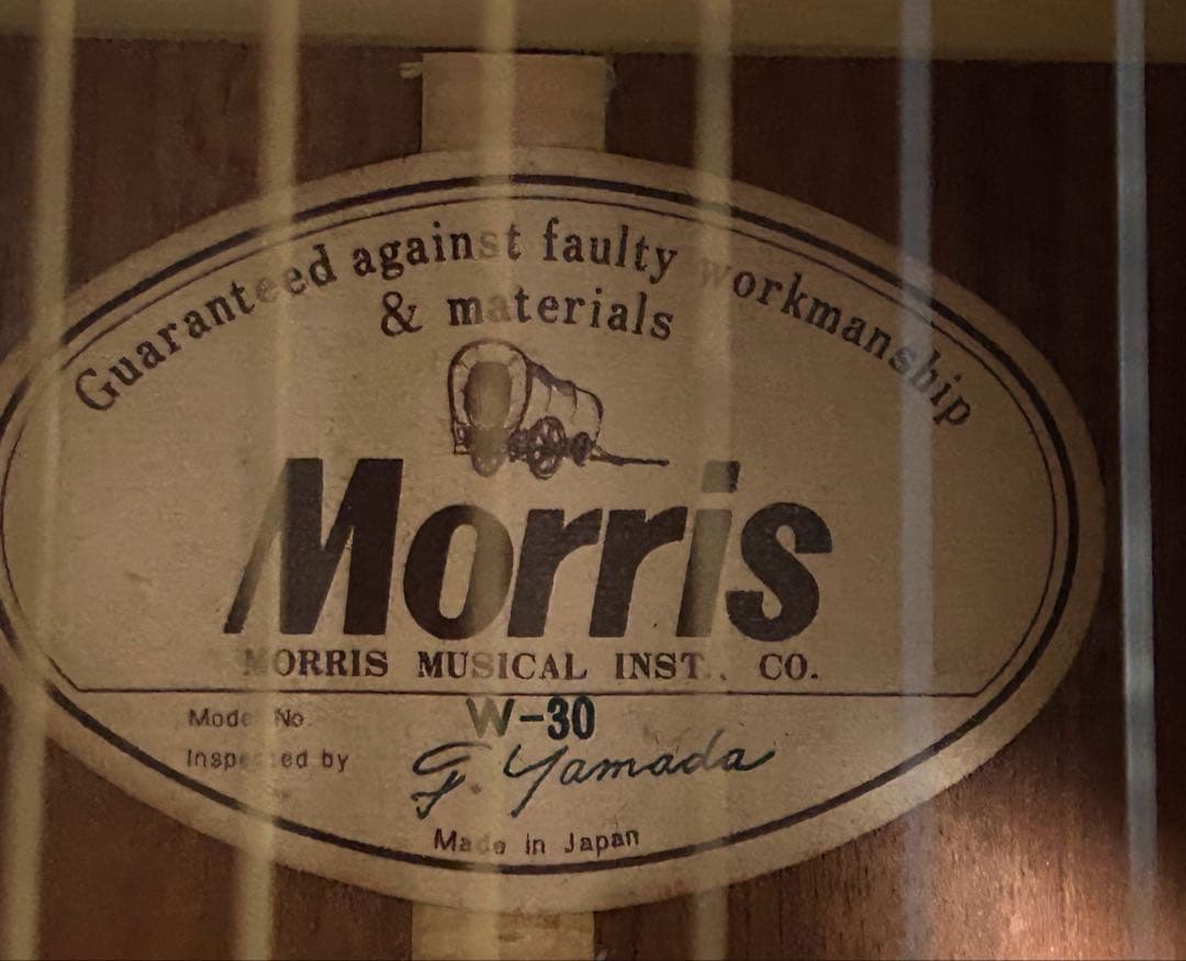 Morris W-30 アコースティックギター