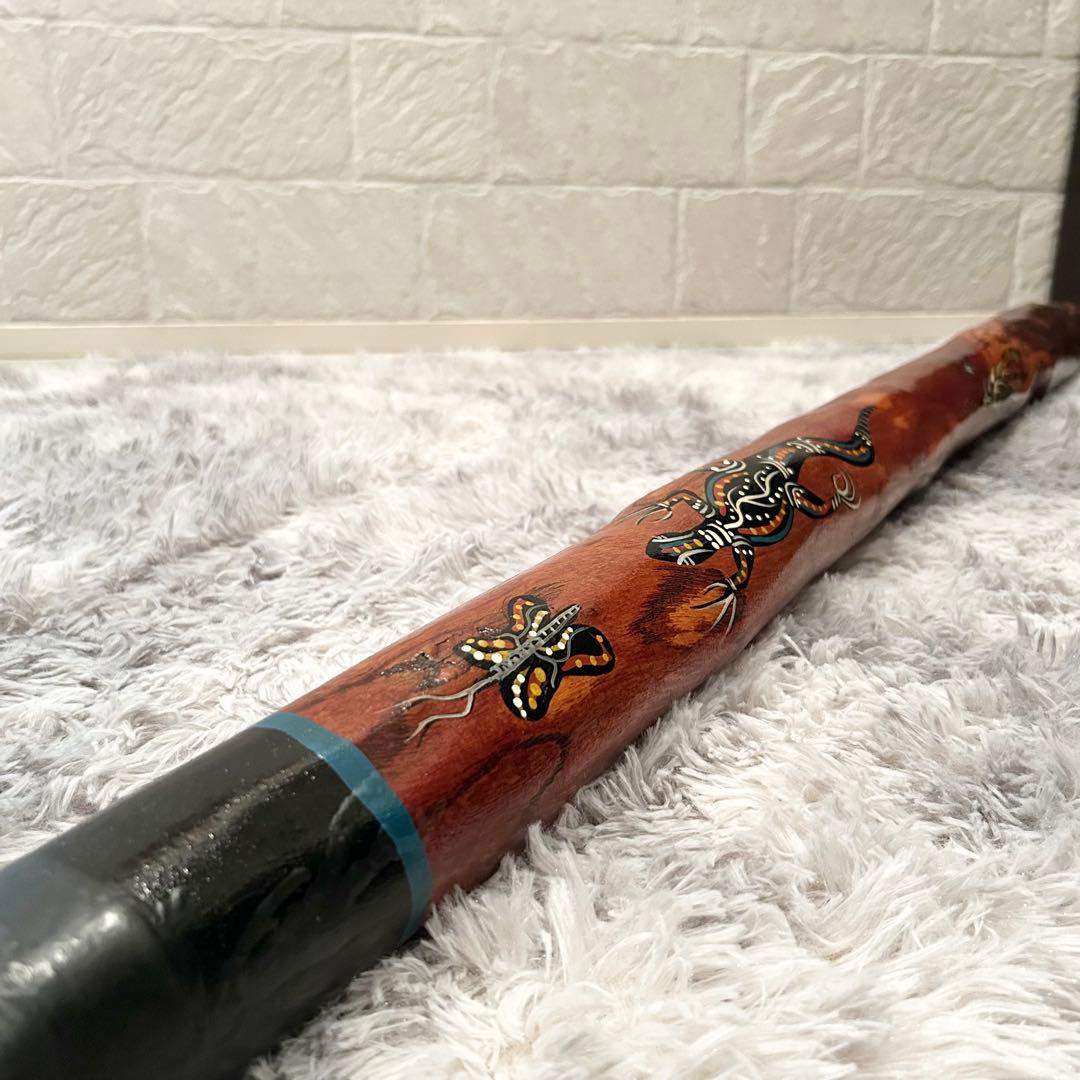 希少 イダキ 楽器 ディジュリドゥ 管楽器 オーストラリア